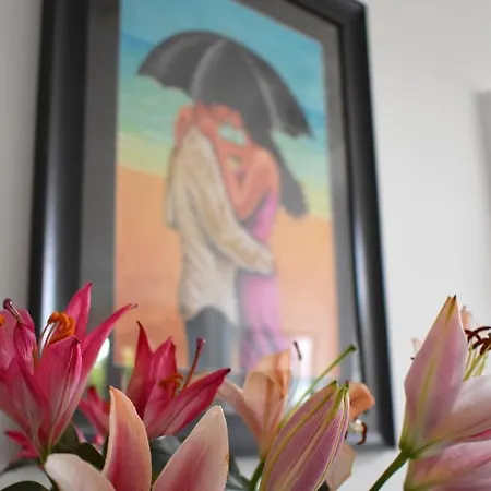 Oda ve Kahvaltı The Meadows Moville