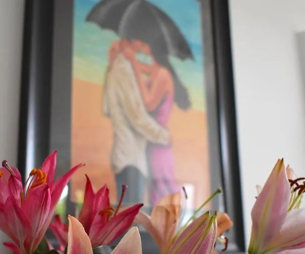 Bed & Breakfast The Meadows Moville